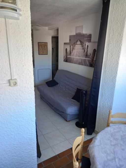 Raisin D'or, T2, Parking, Piscine Agde