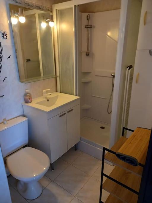 Raisin D'or, T2, Parking, Piscine * Agde